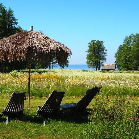 Puhkemaja Летний дом *