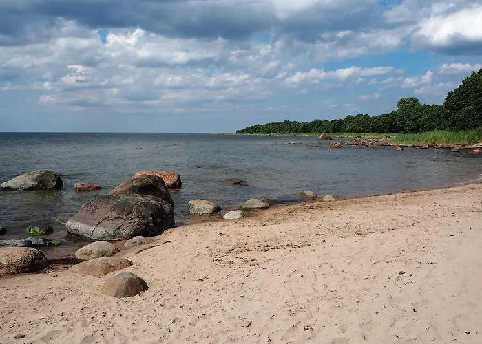 Puhkemaja Gospodarstwo wiejskie Leesi